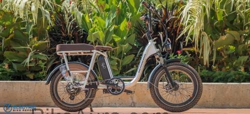 Rad Power Bikes RadRunner Plus ficha tecnica 